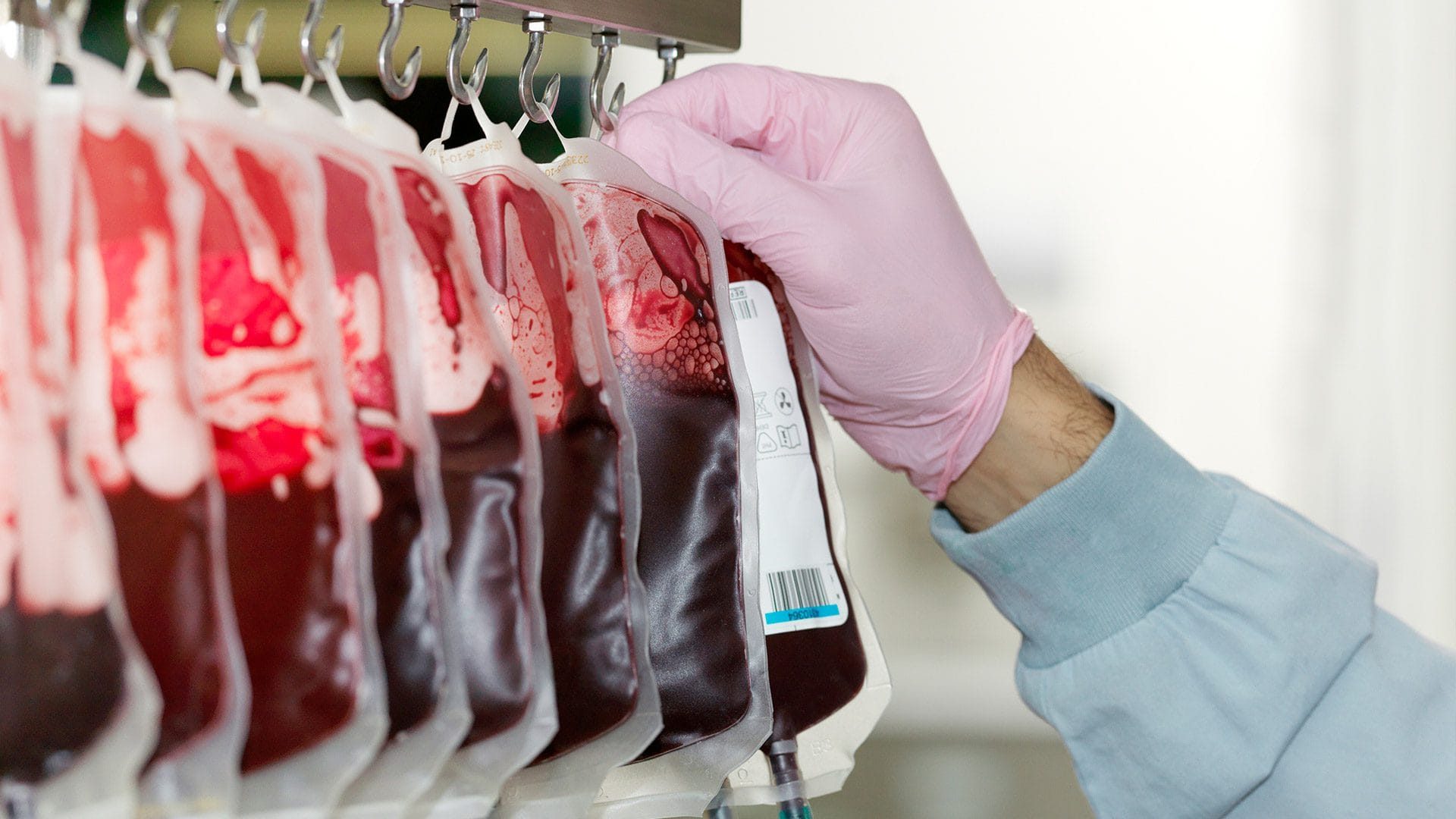 Curso Presencial Flebotomista